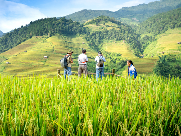 Agricultural Exports - Narnaware Global Trade Pvt. Ltd.